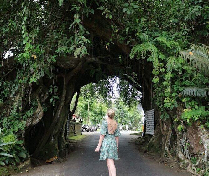 ホテル Kelapa Retreat & Spa