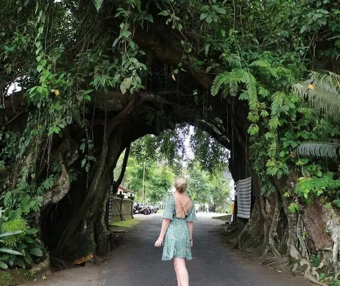 Отель Kelapa Retreat & Spa