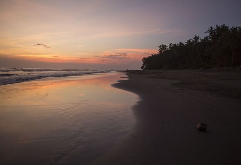 ホテル Kelapa Retreat & Spa