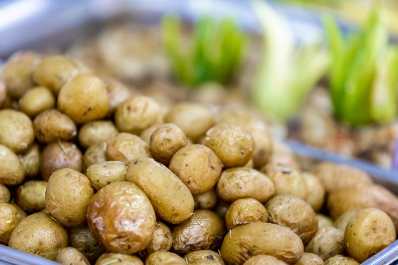 Prestige Hotel And Aquapark   All Inclusive