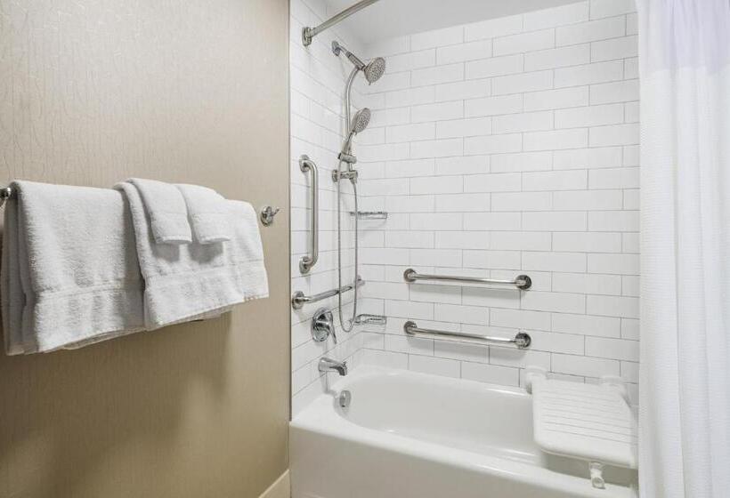 فندق Springhill Suites By Marriott Denver Airport