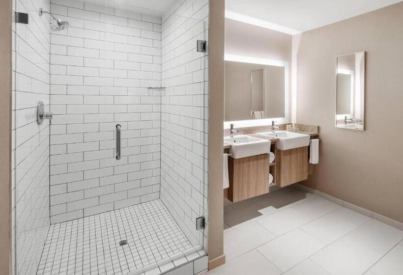 فندق Springhill Suites By Marriott Denver Airport