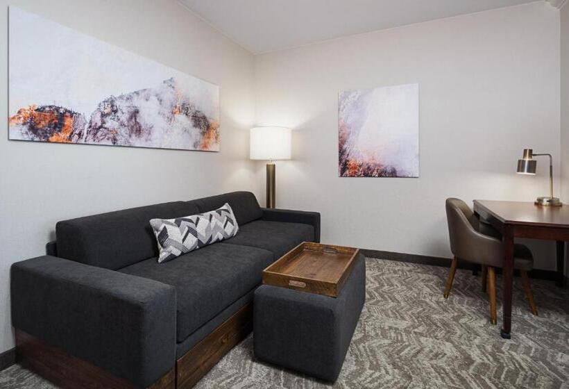 فندق Springhill Suites By Marriott Denver Airport