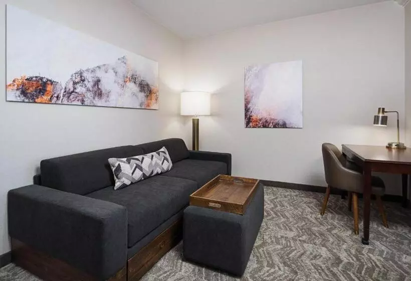 호텔 Springhill Suites By Marriott Denver Airport