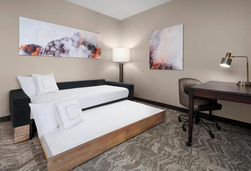 فندق Springhill Suites By Marriott Denver Airport