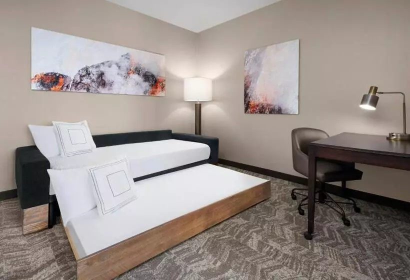호텔 Springhill Suites By Marriott Denver Airport