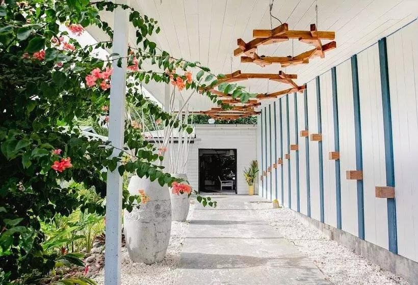 リゾートホテル Turtle Bay Lodge