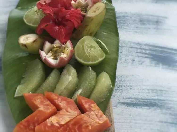 リゾートホテル Turtle Bay Lodge