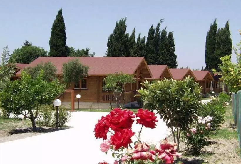 Sandy S Studios Apartments & Log Villas