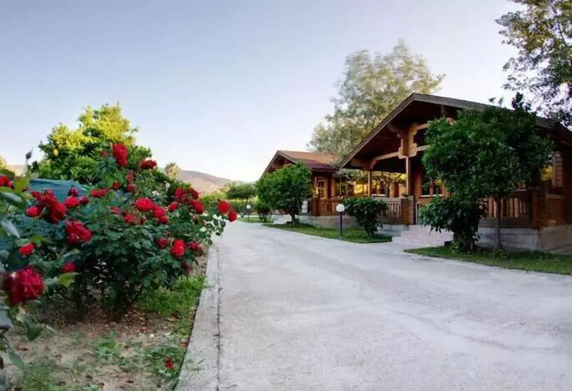 Sandy S Studios Apartments & Log Villas