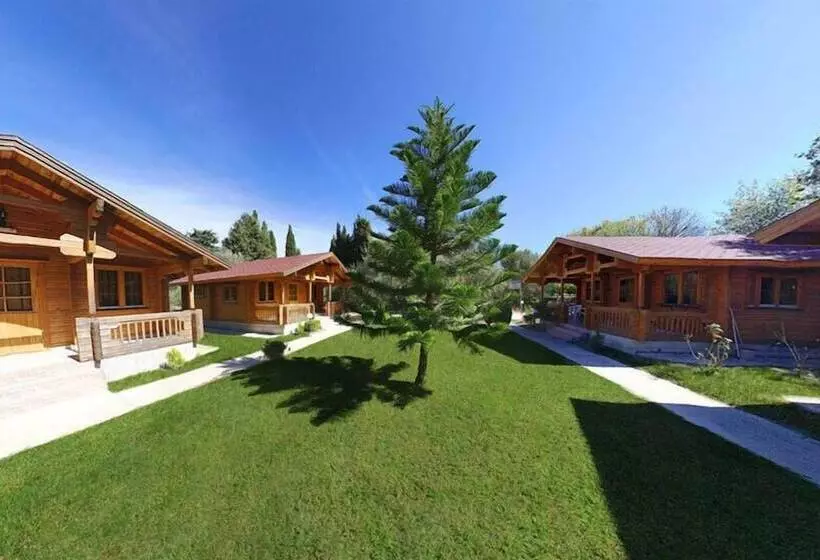 Sandy S Studios Apartments & Log Villas