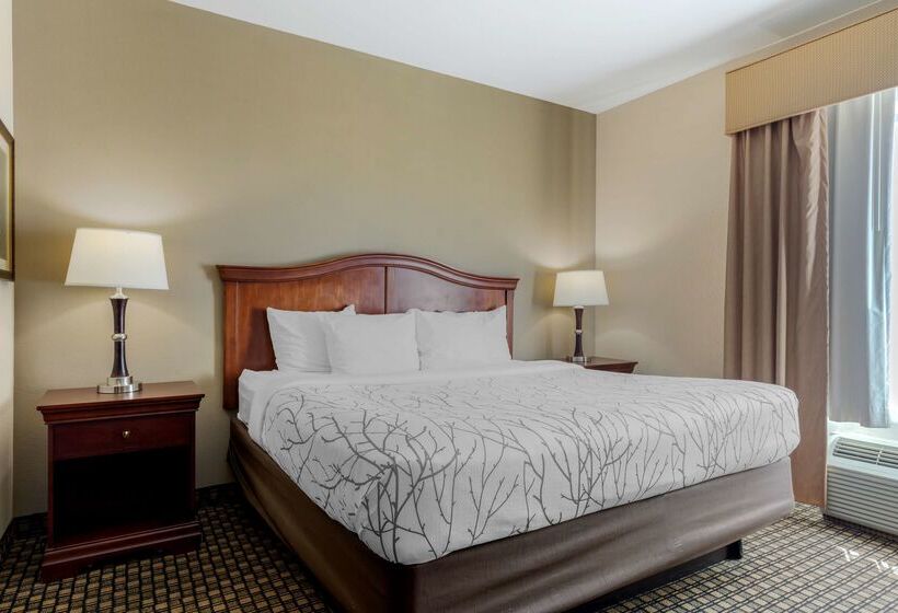 בית מלון כפרי Best Western Plus Sweetwater Inn & Suites