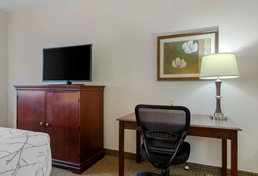 酒店 Best Western Plus Sweetwater Inn & Suites