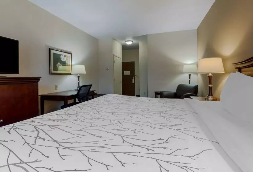 酒店 Best Western Plus Sweetwater Inn & Suites