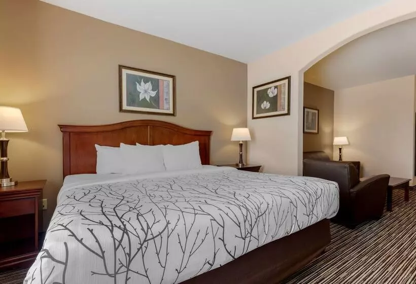 酒店 Best Western Plus Sweetwater Inn & Suites