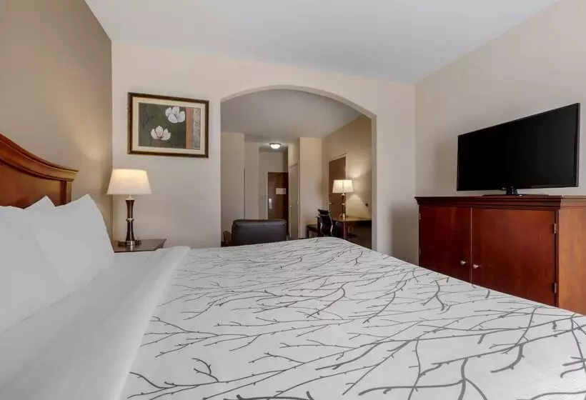 酒店 Best Western Plus Sweetwater Inn & Suites