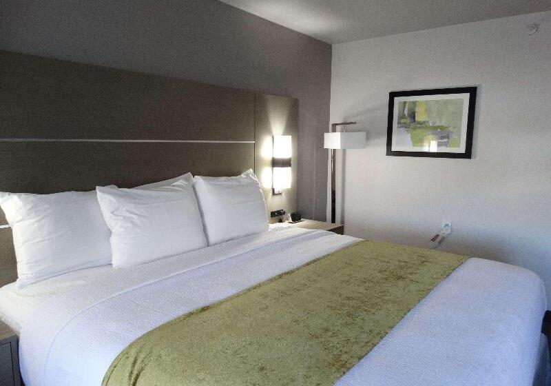 בית מלון כפרי Best Western Plus Sweetwater Inn & Suites