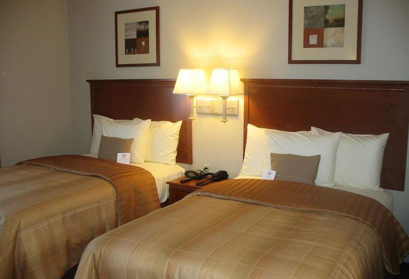 酒店 First Inn Suites