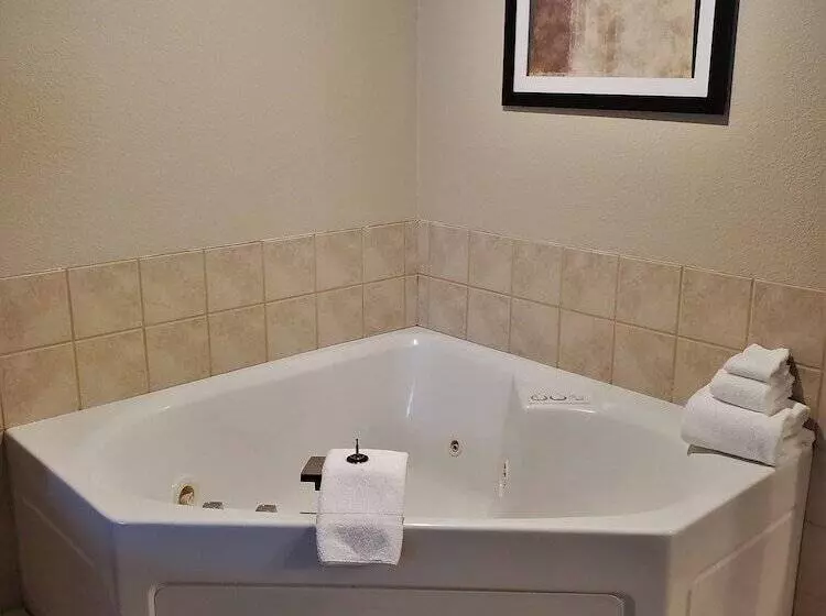 酒店 Cobblestone Suites Oshkosh