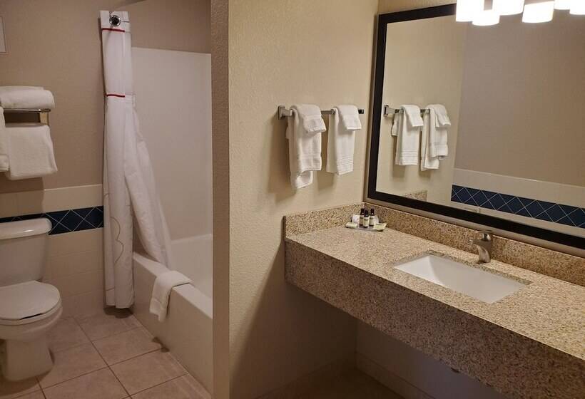 Отель Cobblestone Suites Oshkosh