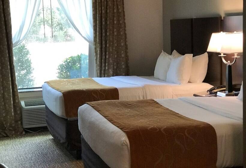 호텔 Comfort Suites