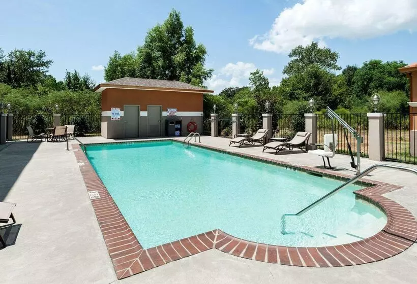 酒店 Comfort Suites Oil Center