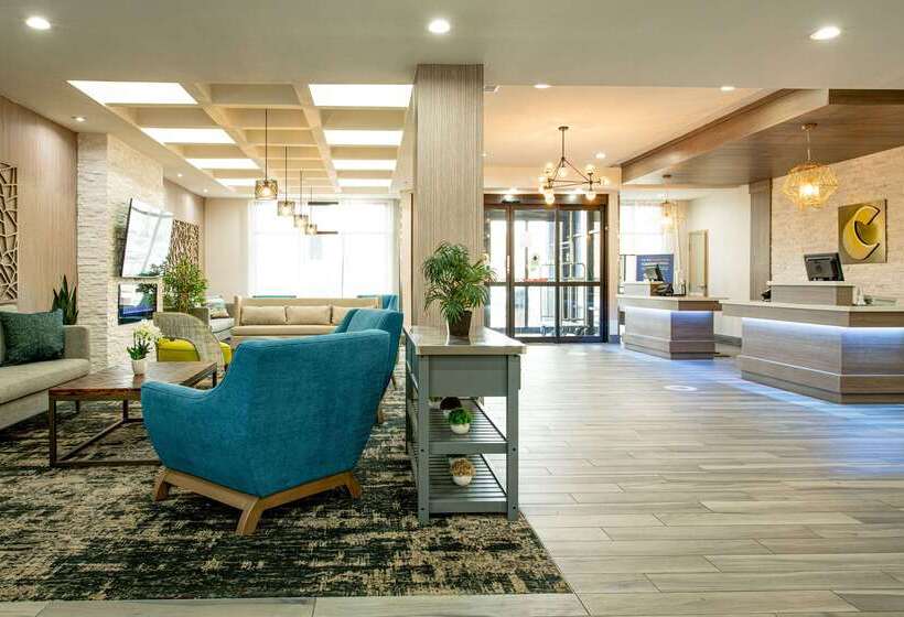 酒店 Comfort Suites Oil Center