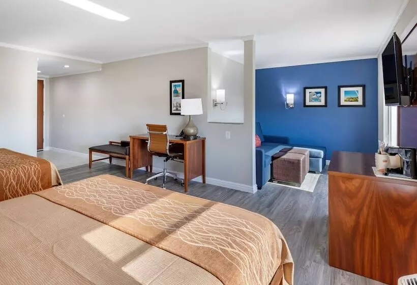 ホテル Comfort Suites St Louis   Sunset Hills