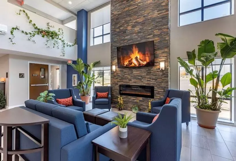 ホテル Comfort Suites St Louis   Sunset Hills