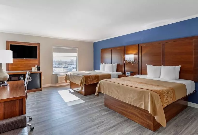 ホテル Comfort Suites St Louis   Sunset Hills