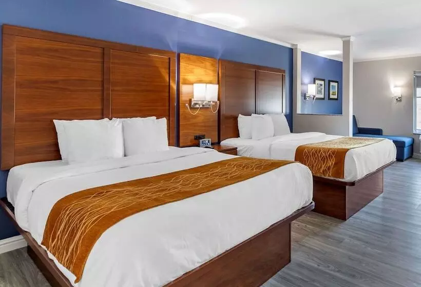 ホテル Comfort Suites St Louis   Sunset Hills