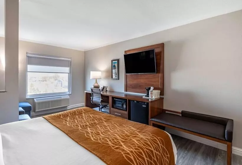 ホテル Comfort Suites St Louis   Sunset Hills