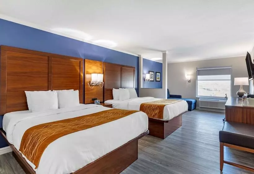 ホテル Comfort Suites St Louis   Sunset Hills