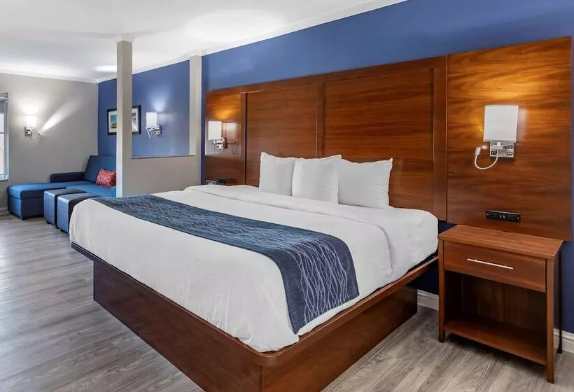 ホテル Comfort Suites St Louis   Sunset Hills