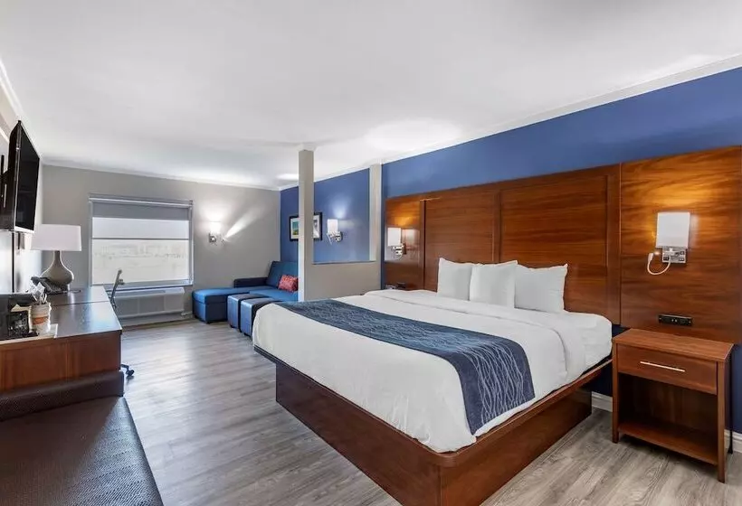 ホテル Comfort Suites St Louis   Sunset Hills