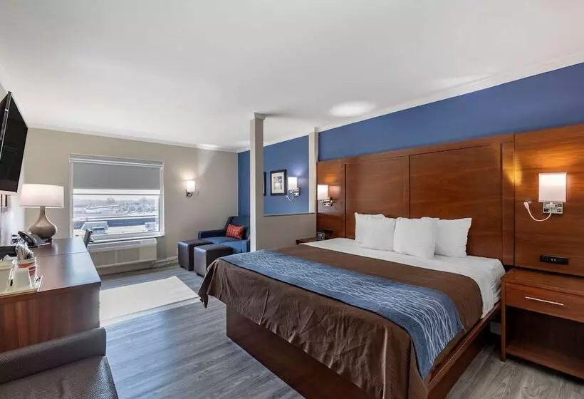 ホテル Comfort Suites St Louis   Sunset Hills