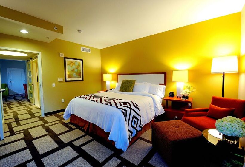 فندق Embassy Suites Houston Downtown
