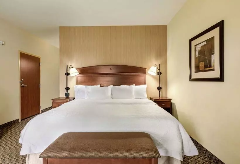 Otel Hampton Inn Duncan