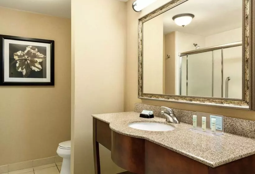 Otel Hampton Inn Duncan