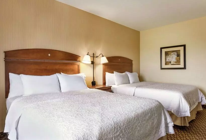 Otel Hampton Inn Duncan