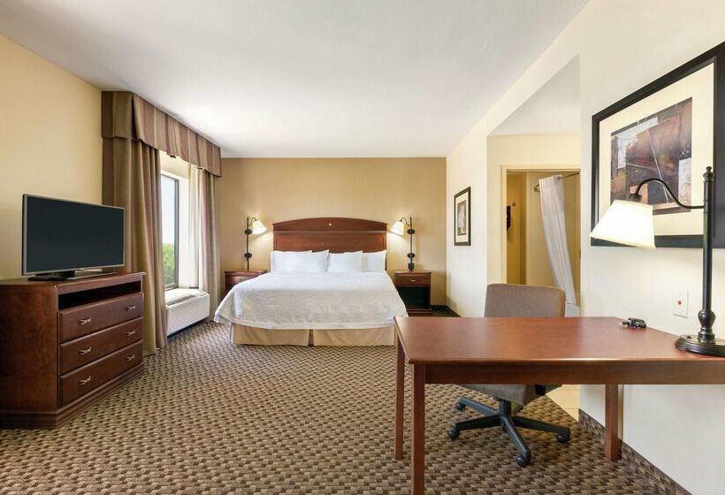 Hotel Hampton Inn Duncan