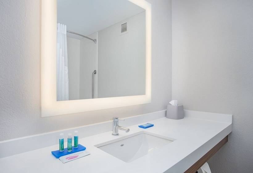 Holiday Inn Express Hotel & Suites Alcoa Knoxville Airport, An Ihg