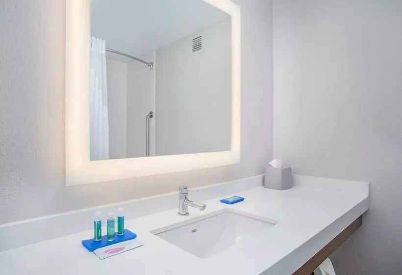 Holiday Inn Express Hotel & Suites Alcoa Knoxville Airport, An Ihg