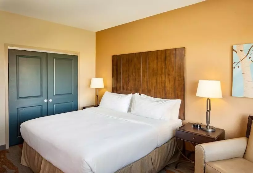 בית מלון כפרי Holiday Inn San Antonio Northwest Seaworld Area, An Ihg