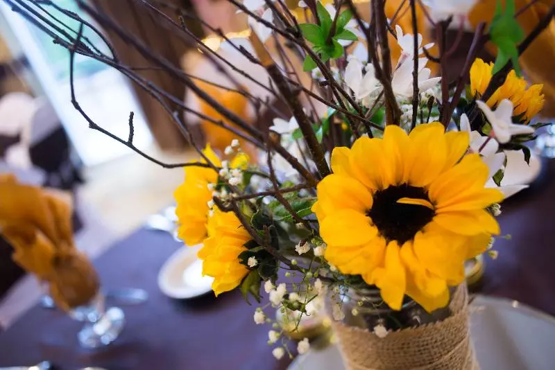 בית מלון כפרי Holiday Inn San Antonio Northwest Seaworld Area, An Ihg