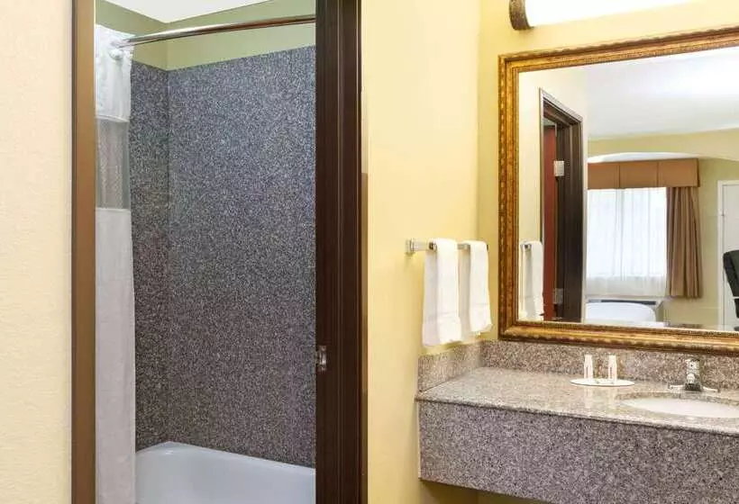 Hotel Howard Johnson By Wyndham Lafayette