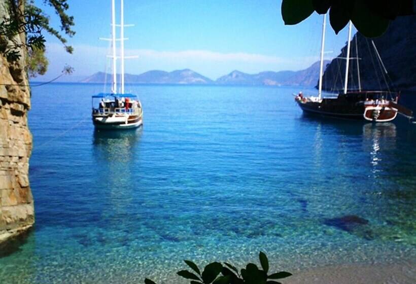 Hotel Magic Tulip Beach