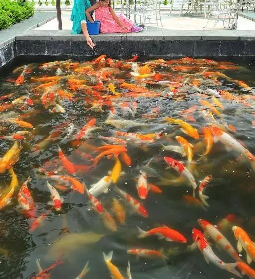 Отель Anugraha Boutique