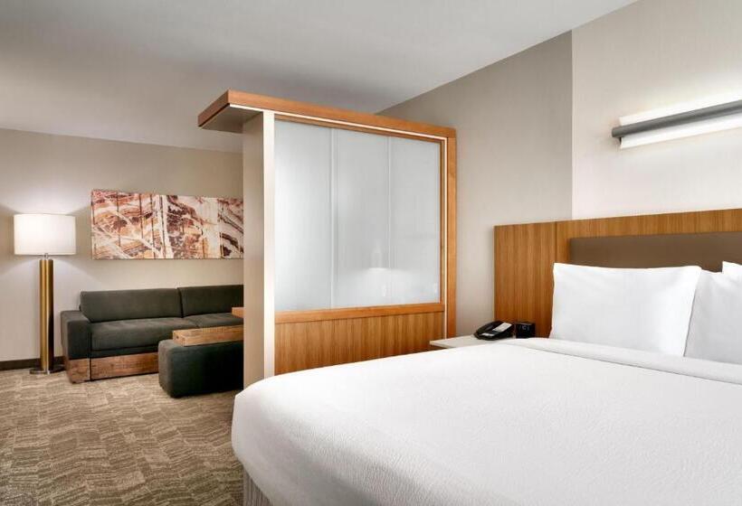 فندق Springhill Suites By Marriott Las Vegas Convention Center