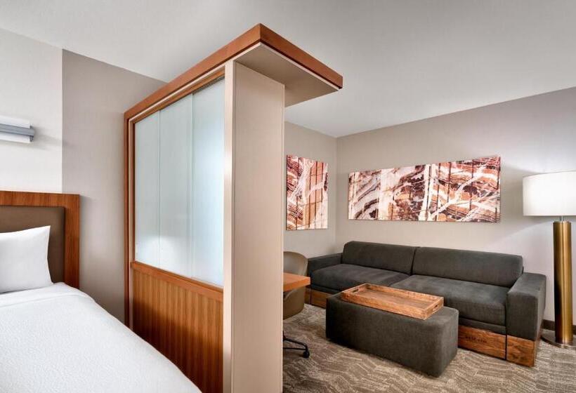 فندق Springhill Suites By Marriott Las Vegas Convention Center